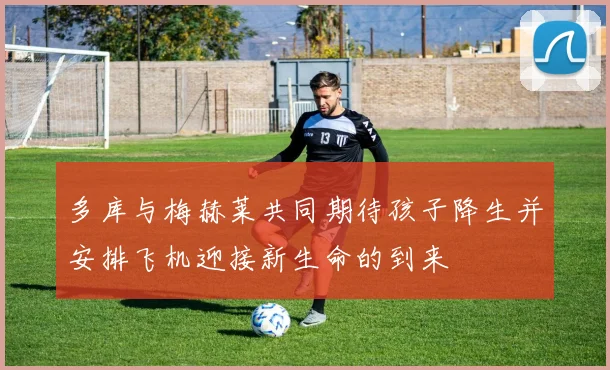 多库与梅赫莱共同期待孩子降生并安排飞机迎接新生命的到来